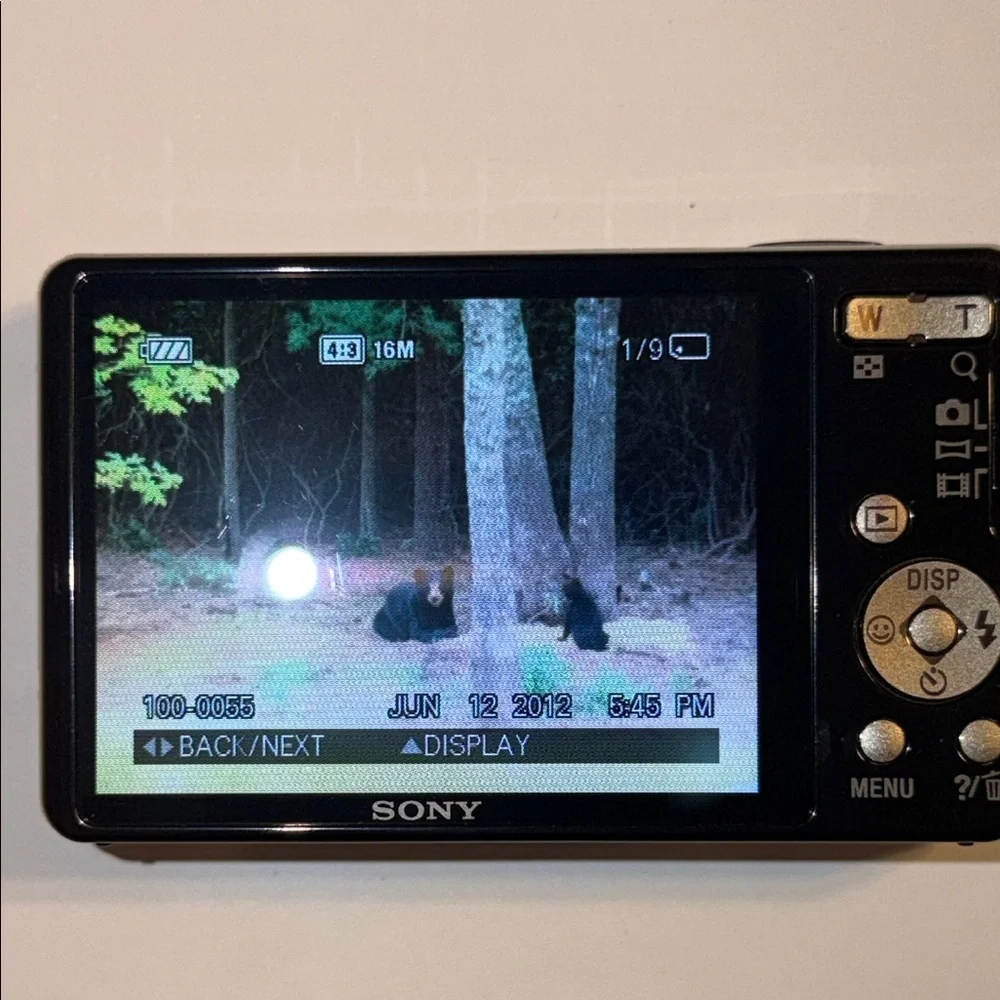 Sony Cyber-Shot DSC-W690 16.1MPCCD Digital Camera - Picture 4 of 14